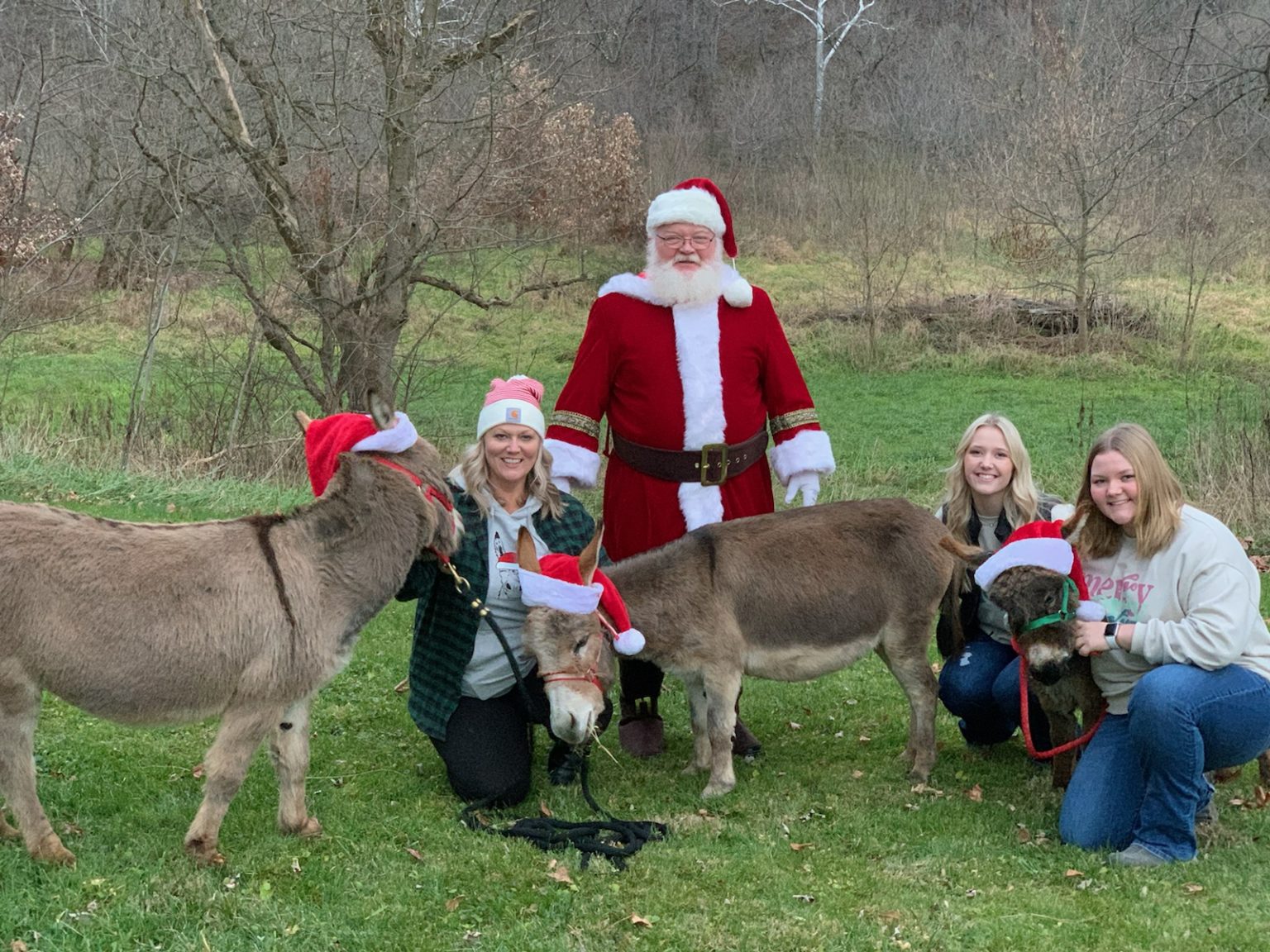 Christmas Donkeys from White Oaks Farm Village of Caldwell